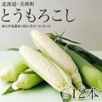 とうもろこし 令和9年産 スイートコーン