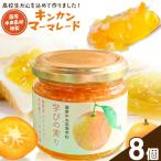 キンカン マーマレード 金柑 薩摩中央高校特製