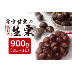 倉方甘栗の生栗 殻付き 約900g
