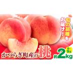 桃 約 2kg