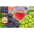 ふるさと納税 【発送月固定定期便】【訳アリ】山梨の桃と黒ぶどう・シャインマスカット全3回【配送不可地域:離島・沖縄県】【4063713】 山梨県山梨市