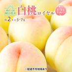 ふるさと納税 桃 2026年 先行予約 岡山 白桃 ロイヤル 約2kg 5〜7玉入り もも モモ 岡山県産 国産 フルーツ 果物 ギフト 橋田商店 岡山県高梁市