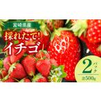 フルーツ イチゴ