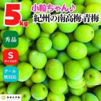 南高梅 青梅 秀品 小粒ちゃん 約5kg