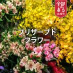 花 プリザーブドフラワー 大サイズ 花工房比呂