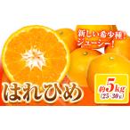 みかん はれひめ 約5kg
