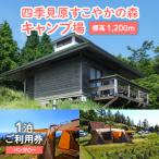 四季見原すこやかの森キャンプ場 1泊ご利用券