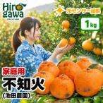 不知火 しらぬい 1kg+250g