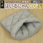 はいるにゃんDX はいるにゃん デラックスタイプ