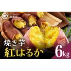 関商店 焼き芋 紅はるか 6kg