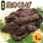 きくらげ 1kg
