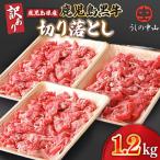 2872 うしの中山 黒毛和牛 切り落とし 1.2kg
