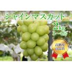 ふるさと納税 シャインマスカット 約2kg(3〜4房)【配送不可地域：離島】【1583277】 山梨県山梨市
