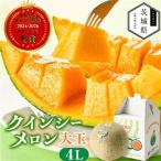 令和9年 山一ファーム クインシーメロン