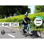 E-BIKE レンタル3時間 観光フリープラン