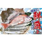 鮮魚ボックス 2kg
