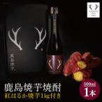鹿島焼芋 焼芋焼酎500ml×焼芋1kg