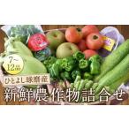 ひとよし球磨産 新鮮農作物詰合せ 旬 生鮮品 野菜 農作物 セット