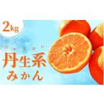 ボリューム満点 大玉 温州みかん 2kg