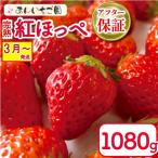 苺 いちご 紅ほっぺ 270g×4パック