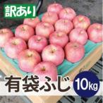 平均糖度13度以上 有袋ふじ 約10kg
