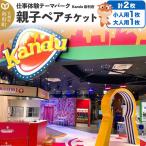 Kandu カンドゥー チケット 小人1枚