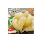 楠瀬さん土佐文旦 約4kg