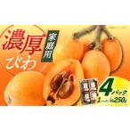 fu.... налог [ предшествующий предварительный заказ ] локва 4 упаковка [2026 год 6 месяц отправка ][ бог река сельское хозяйство .] [DBT006] локва Nagasaki префектура маленький цена . блок 