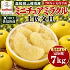 土佐文旦 ミニチュアミラクル 7kg
