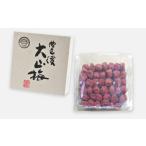 豊後大山 南高梅干 1kg