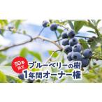 fu.... налог 2855 Кагосима префектура олень магазин город нет пестициды голубика. .1 лет владелец право (50шт.@ ограничение ) KN026-016 голубика владелец право body .o Kiss .... Кагосима префектура олень магазин город 