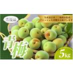 青梅 5kg