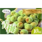 青梅 10kg