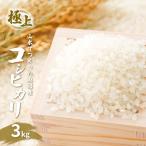 令和7年産 山水でつくった魚沼産コシヒカリ