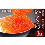 ふるさと納税 いくら 北海道 白老産 前浜加工 500g×2パック 計1kg <斉藤水産> AM171 イクラ 魚卵 加工品 海産物 北海道ふるさと納税 北海道白老町
