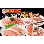 頒布会 豚肉 満足セット ふくよか豚