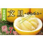 ふるさと納税 訳あり 文旦 7kg 7000円 ぶんたん みかん mikan 蜜柑 ミカン わけあり 家庭用 産地直送 国産 農家直送 糖度 期間限定 数量限定 特.. 愛媛県愛南町