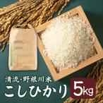 令和8年産 野根川米5kg こしひかり 米
