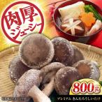 プレミアムきんたろうしいたけ しいたけ