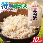 米 10kg