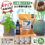 天然土壌菌入り肥料 湖の恵 添加タイプ 350g×3