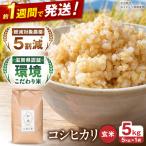 新米 玄米 コシヒカリ 5kg