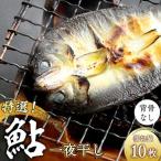 特選 びわこ 鮎 一夜干し 10枚