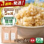 コシヒカリ 玄米20kg 玄米