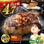 ハンバーグ6個 宮のタレセット 冷凍 ハンバーグ