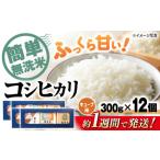 コシヒカリ無洗米300g×12個 無洗米