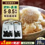 令和8年産 新米 特別栽培米みずかがみ 5kg×2