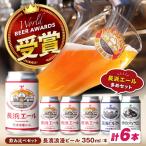 クラフトビール6本 クラフトビール 地ビール