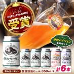 クラフトビール6本 クラフトビール 地ビール