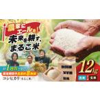 近江米 コシヒカリまるこ米12kg 3kg×4